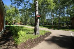 Территория МБДОУ д/с № 48 - фото 5